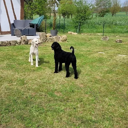 With Private Pool - Sleep 12 Serignac-Peboudou
